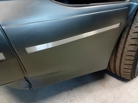 RVS Sierstrips voor bumpers- Complete Set