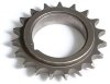 Crankshaft Gear - Timing Chain